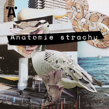 Anatomie strachu /série/