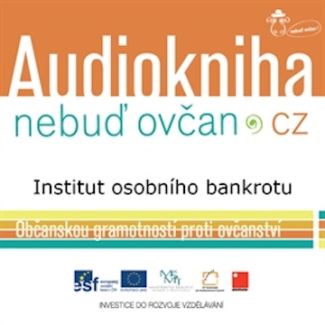 Institut osobního bankrotu