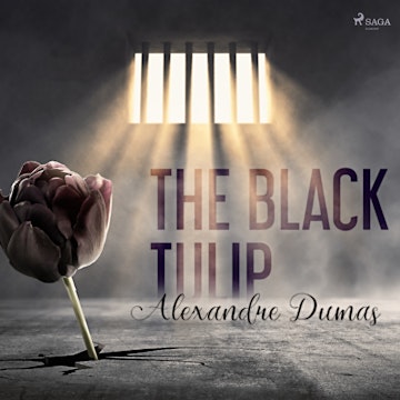 The Black Tulip