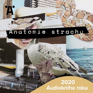 Anatomie strachu