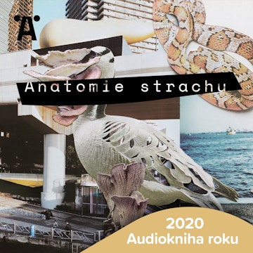 Anatomie strachu