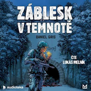 Záblesk v temnotě, Daniel Gris