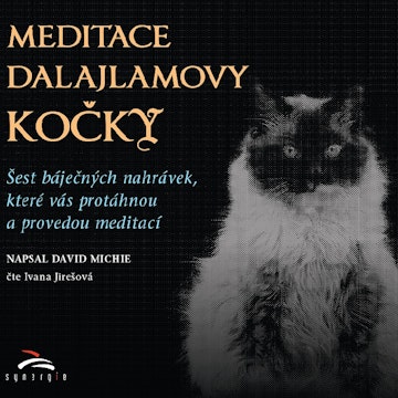 Meditace dalajlamovy kočky