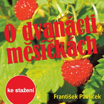 František Pavlíček: O dvanácti měsíčkách