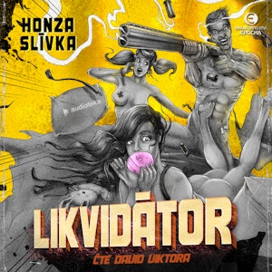 Likvidátor, Honza Slívka