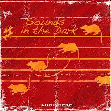 Sounds in the Dark