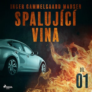 Spalující vina - 1. díl