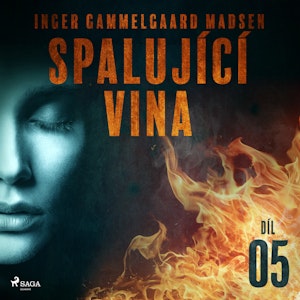 Spalující vina - 5. díl