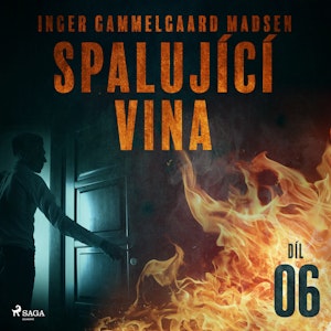 Spalující vina - 6. díl