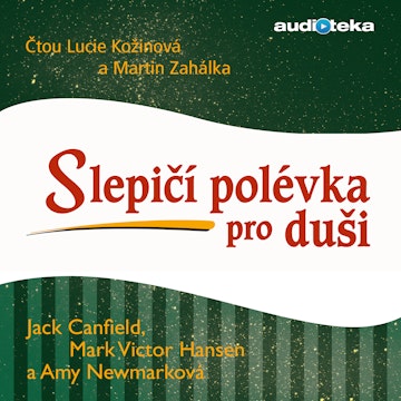 Slepičí polévka pro duši