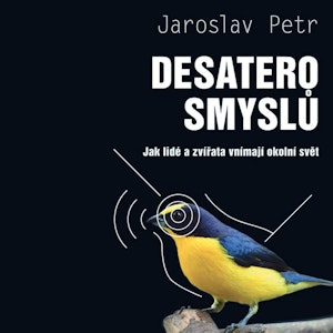 Desatero smyslů