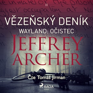 Vězeňský deník II – Wayland: Očistec