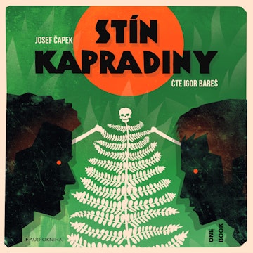 Stín kapradiny