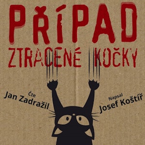 Případ ztracené kočky