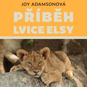 Příběh lvice Elsy