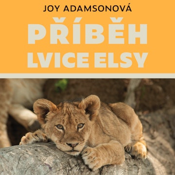 Příběh lvice Elsy