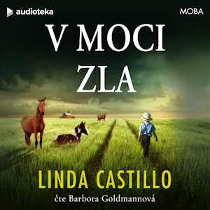 V moci zla, Linda Castillo