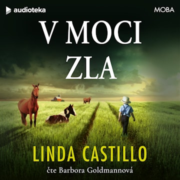 V moci zla audiobook, Linda Castillo