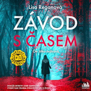 Závod s časem