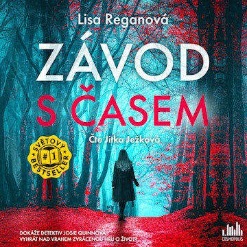 Závod s časem