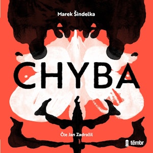 Chyba