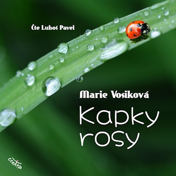 Kapky rosy