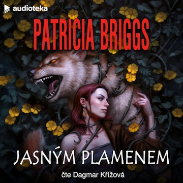 Jasným plamenem