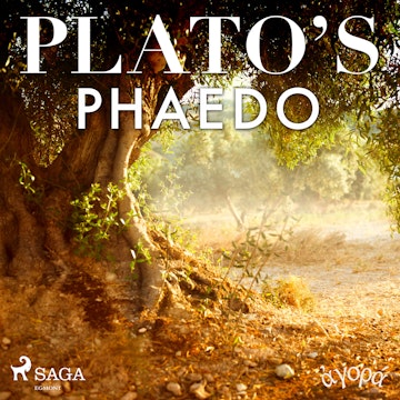 Plato’s Phaedo