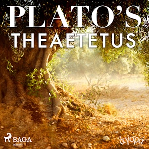 Plato’s Theaetetus