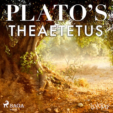 Plato’s Theaetetus