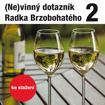 (Ne)vinný dotazník Radka Brzobohatého 2.