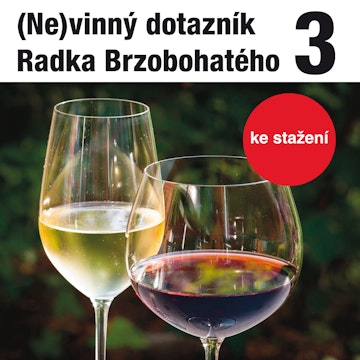 (Ne)vinný dotazník Radka Brzobohatého 3.