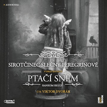 Sirotčinec slečny Peregrinové: Ptačí sněm