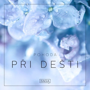 Pohoda - Při dešti