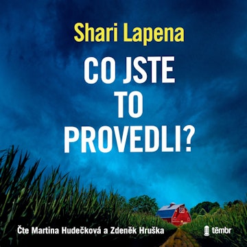 Co jste to provedli? audiobook, Shari Lapena