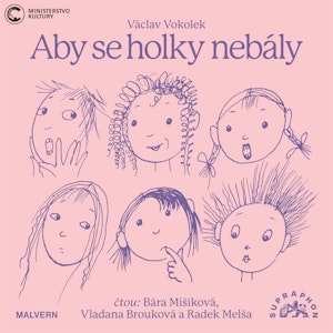 Aby se holky nebály, Václav Vokolek