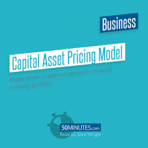 Capital Asset Pricing Model