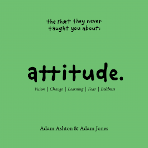 ATTITUDE