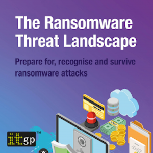 The Ransomware Threat Landscape