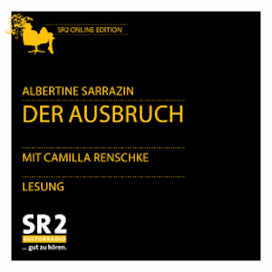 Der Ausbruch