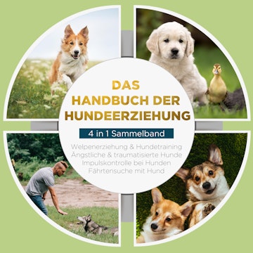 Das Handbuch der Hundeerziehung - 4 in 1 Sammelband: Impulskontrolle bei Hunden | Welpenerziehung & Hundetraining | Ängstliche &