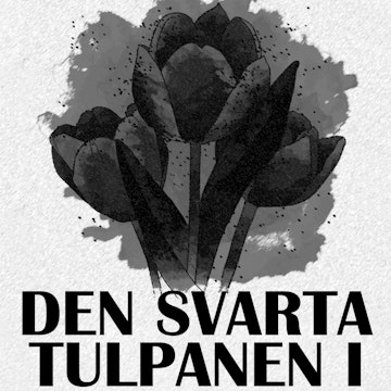 Den svarta tulpanen I