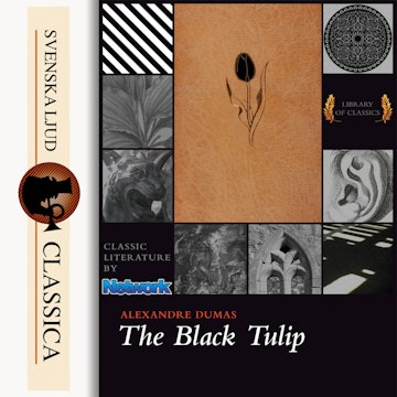 The Black Tulip