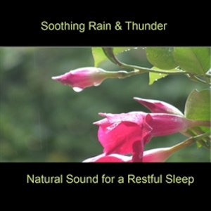 Soothing Rain & Thunder