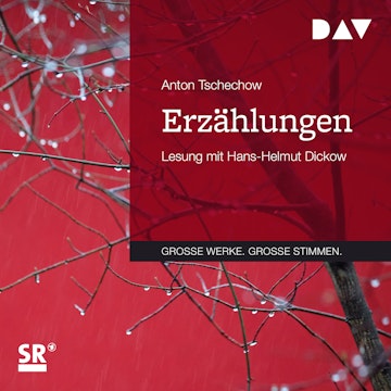 Erzählungen (Große Werke. Große Stimmen)