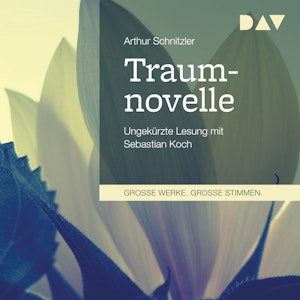 Traumnovelle