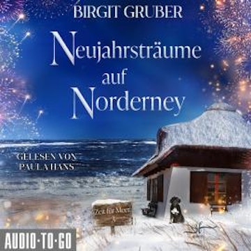 Neujahrsträume auf Norderney - Zeit für Meer, Band 3 (ungekürzt) audiobook, Birgit Gruber