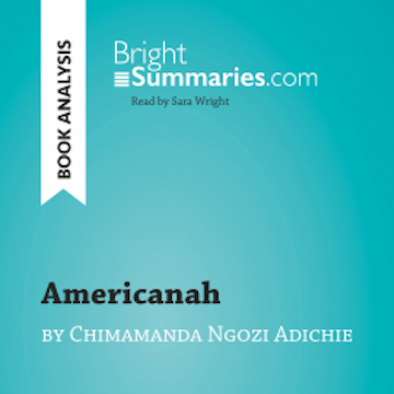 Americanah by Chimamanda Ngozi Adichie (Book Analysis)