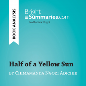 Half of a Yellow Sun by Chimamanda Ngozi Adichie (Book Analysis)