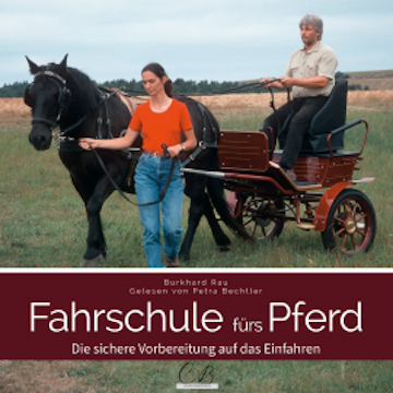 Fahrschule fürs Pferd